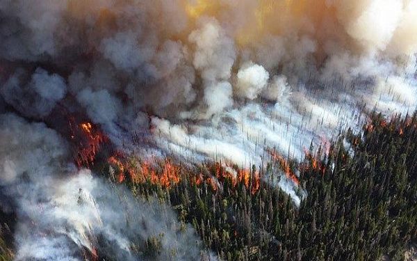 В Бурятии тушили 6 лесных пожаров