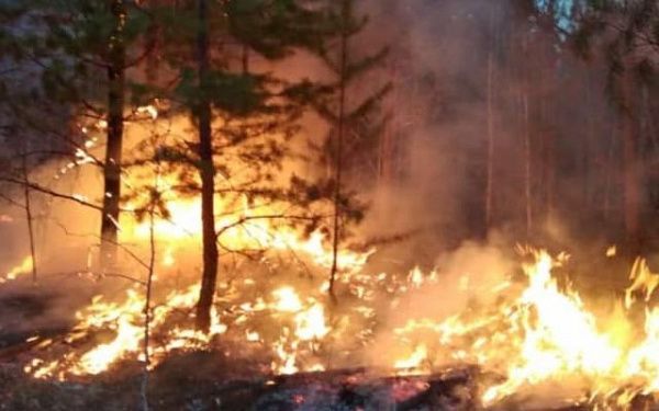 В Улан-Удэ состоялся оперштаб по тушению лесных пожаров
