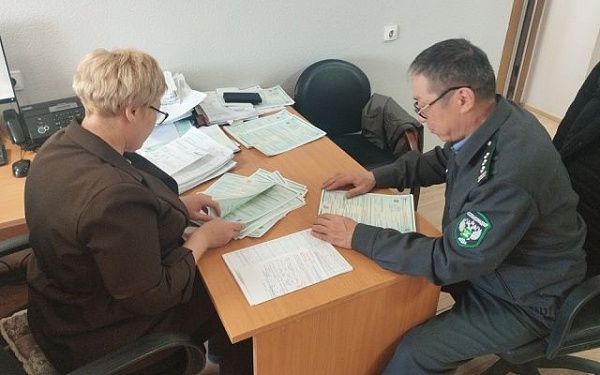 На прошлой неделе в пункте пропуска на границе с Монголией Россельхознадзором досмотрено более 16 тысяч кубометров древесной продукции