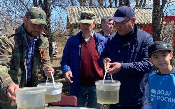 В акваторию озера Байкал выпущено 10 млн личинок омуля