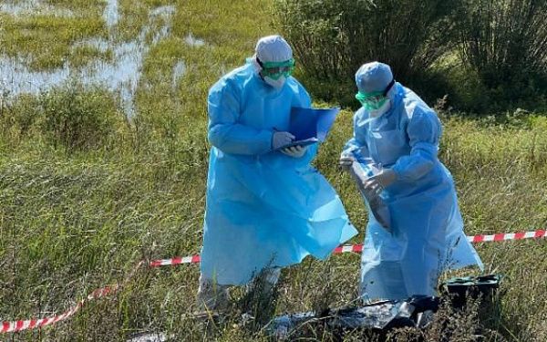 В Улан-Удэ на Богородском острове ликвидировали сибирскую язву