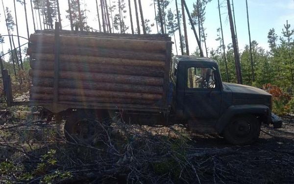 В Бурятии у «черного» лесоруба изъяли грузовик