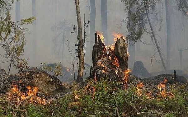 В Бурятии тушили лесной пожар
