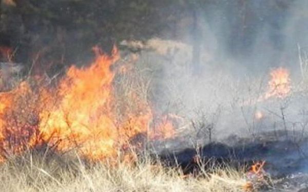В лесах Улан-Удэ пожары вспыхивали три раза чаще 