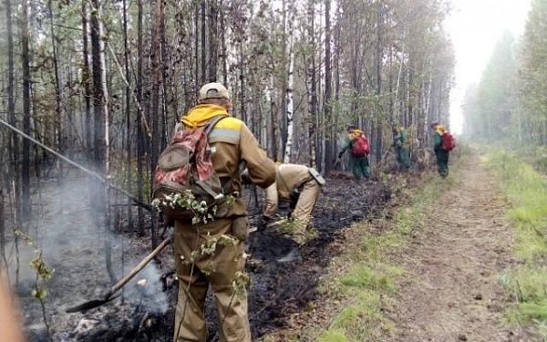 Лесной спецназ из Бурятии продолжает тушить пожары в Якутии и Иркутской области