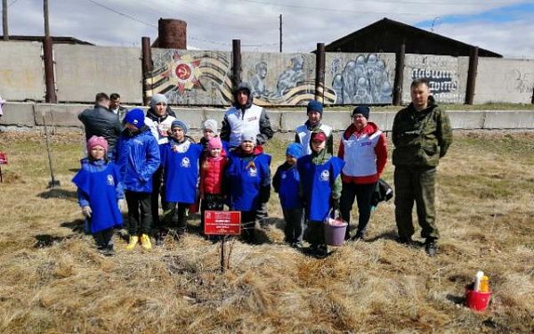 В Бурятии дети высаживают деревья в память о Великой Отечественной Войне