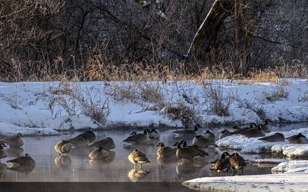В пригороде Улан-Удэ спасатели вывели заблудившуюся на болоте девушку 