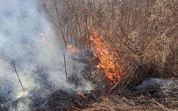 Жителей Бурятии штрафуют за отжиги травы, вызвавших пожары