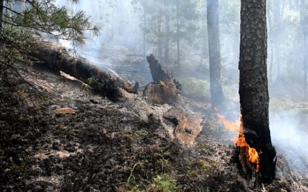В Бурятии огнеборцы тушат сложнейшие лесные пожары