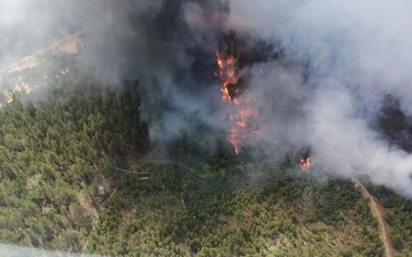 На севере Бурятии огнеборцы продолжают сражаться с лесными пожарами