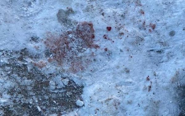 В Бурятии 36-летняя женщина с двумя подростками жестоко убили мужчину