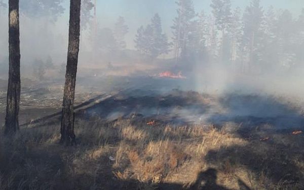 В Бурятии тушили 2 лесных пожара