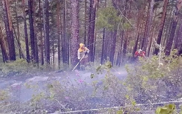Лесники Бурятии устраняют последствия обрыва ЛЭП