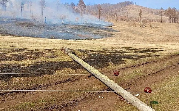 Электросетевой холдинг заплатит свыше 200 000 рублей