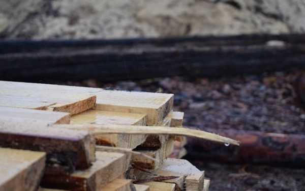 В Бурятии введут систему для отслеживания древесины
