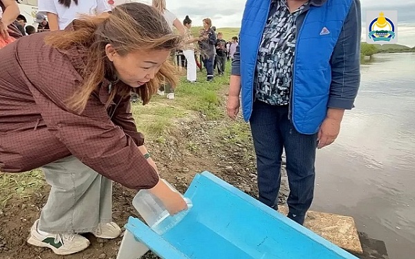 В Селенгу выпустили почти полмиллиона мальков осетра