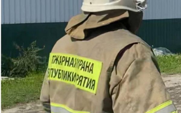 В Бурятии во время пожара сгорела курица