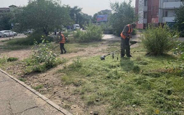 В Улан-Удэ ежедневно косят траву подрядные организации, управляющие компании, Комбинат по благоустройству и МБУ «Городское лесничество»
