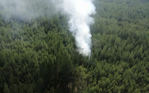 В Бурятии потушили самый крупный лесной пожар