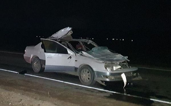 В пригороде Улан-Удэ пассажир сильно пострадал в ночном ДТП с лошадью 