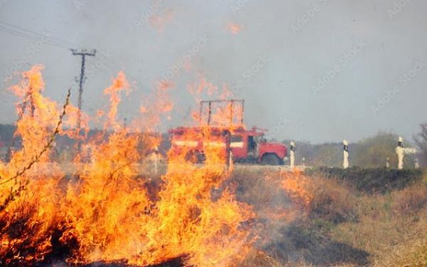 В Бурятии площадь, пройденная огнём, составила свыше 48 гектаров
