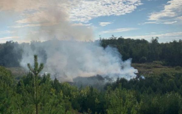 В Бурятии из-за несанкционированной свалки произошел лесной пожар 