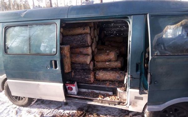 В Заиграевском и Тарбагатайском районах задержаны «черные лесорубы»