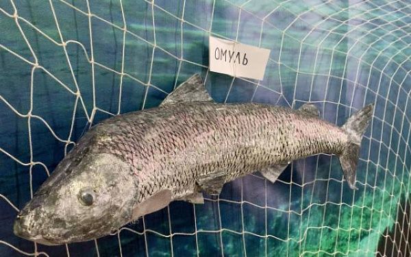 В районе Бурятии открылся музей «Посольск рыбацкий»