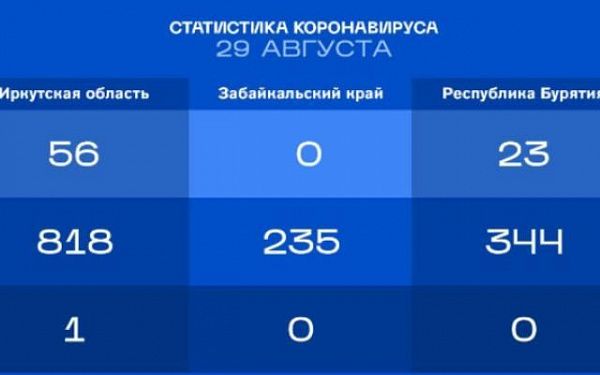 За сутки в Иркутске коронавирус подтвердился у 818 человек