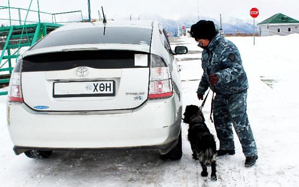 Служебные собаки обнаружили на границе Бурятии 4 боеприпаса