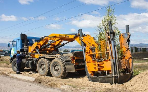 В Улан-Удэ высадили 120 деревьев-крупномеров