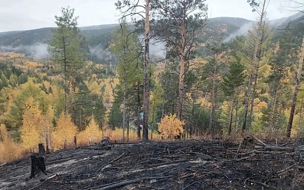 В Бурятии нет лесных пожаров
