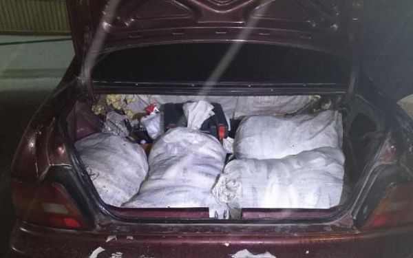 В Улан-Удэ сотрудники ДПС обнаружили у женщины в машине 400 кг омуля