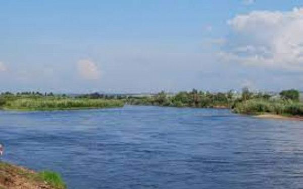 Кишечную палочку обнаружили в местах купания в Улан-Удэ