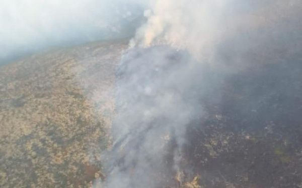 На севере Бурятии тушат сложный грозовой пожар