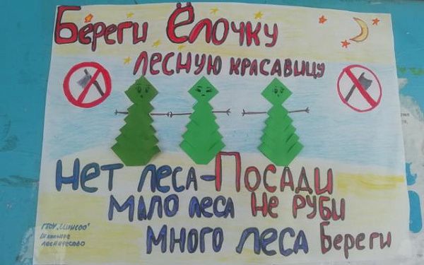 В Бурятии дети призывают не рубить новогодние деревья