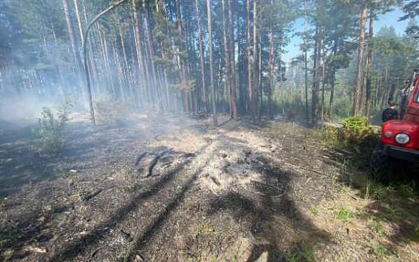 В пригороде Улан-Удэ разгорелся пожар в лесу из-за непотушенного костра