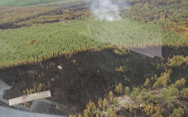 В Бурятии локализовали сложный лесной пожар с помощью вертолёта 