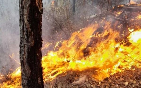 В Бурятии тушили два лесных пожара 