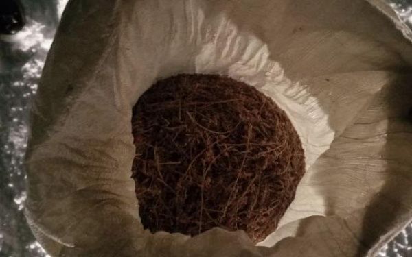 Бурятские полицейские задержали молодых забайкальцев с мешками марихуаны 