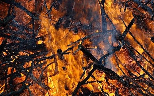 В Бурятии ликвидировали 17 лесных пожаров
