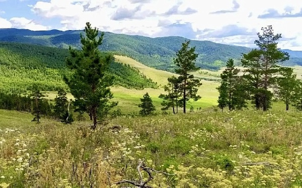 В Бурятии нет лесных пожаров