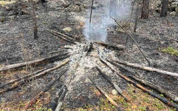 В Бурятии установили виновника лесного пожара