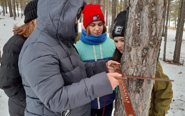 В Кижингинском районе юные лесники научились измерять деревья