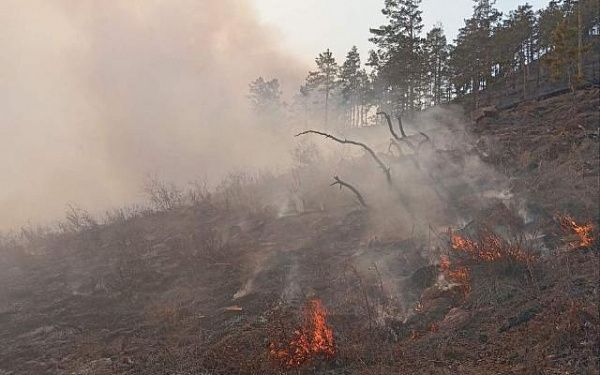 В Бурятии начались первые лесные пожары