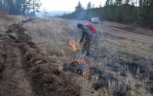 В лесах Бурятии проводятся профилактические выжигания