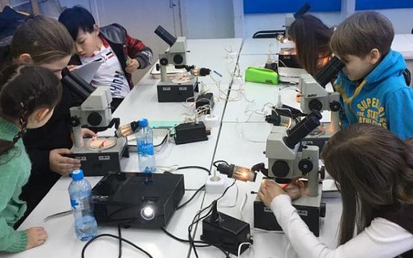 В Улан-Удэ дети через микроскопы изучали дождевых и ленточных червей