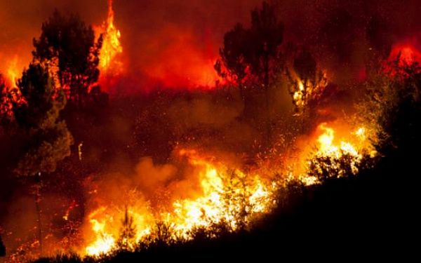 В Бурятии потушили три лесных пожара за минувшие сутки