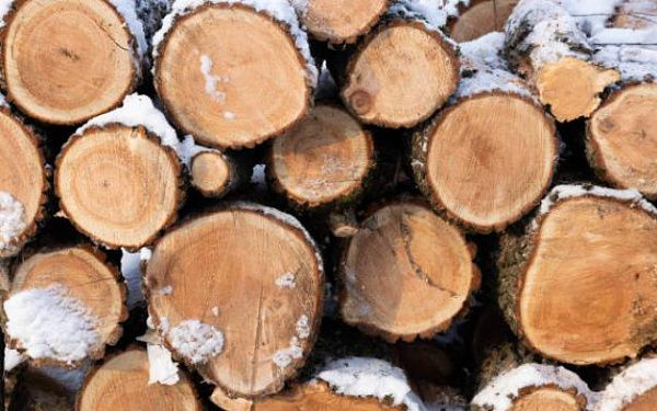 В Забайкалье увеличили компенсацию за приобретенные дрова и уголь семьям участников СВО