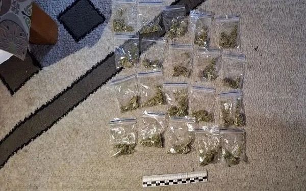 Жительница Северобайкальска организовала ОПГ, торговавшую наркотиками